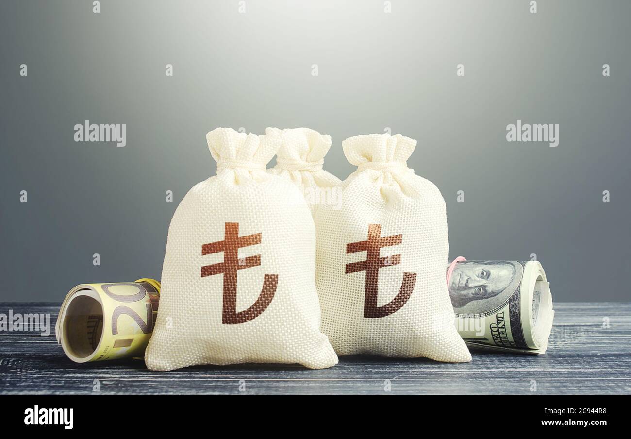 Borse di denaro e contanti turchi lira. Riserva nazionale di oro e valuta estera. Politica monetaria economica. Investimenti di capitale. Sviluppo commerciale. Financi Foto Stock