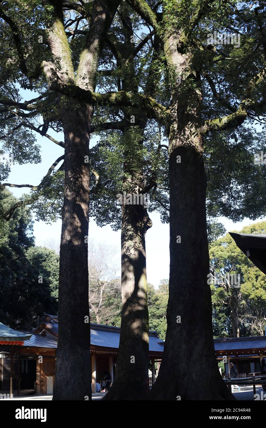 Tempio di Hikawa nella Prefettura di Saitama, Giappone Foto Stock