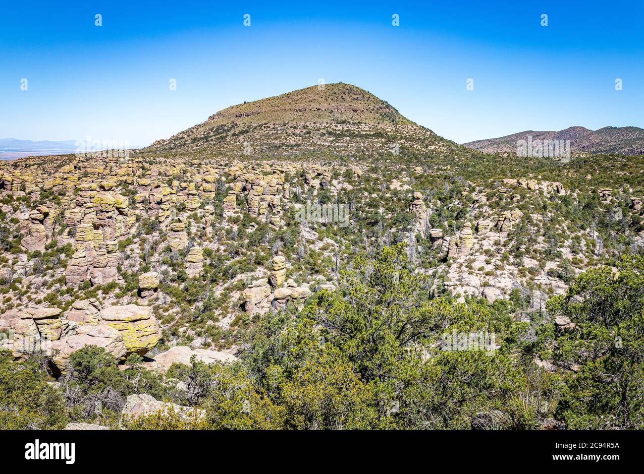 Il Chiricahua National Monument presenta quasi 12,000 acri di pinnacoli di Rhyolite, alcune centinaia di piedi in aumento nell'aria, ed è conosciuto come il 'Wonderl Foto Stock