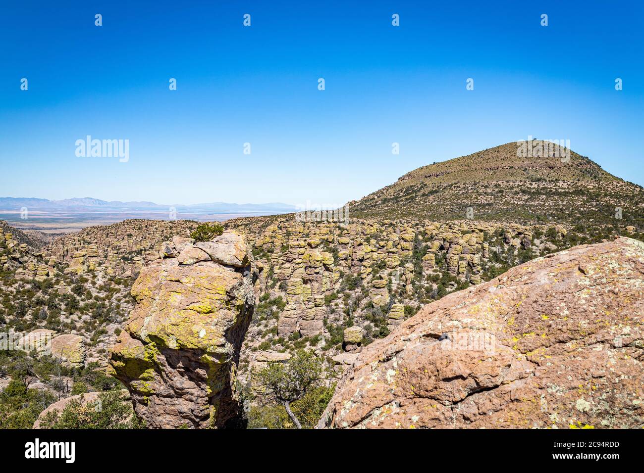 Il Chiricahua National Monument presenta quasi 12,000 acri di pinnacoli di Rhyolite, alcune centinaia di piedi in aumento nell'aria, ed è conosciuto come il 'Wonderl Foto Stock