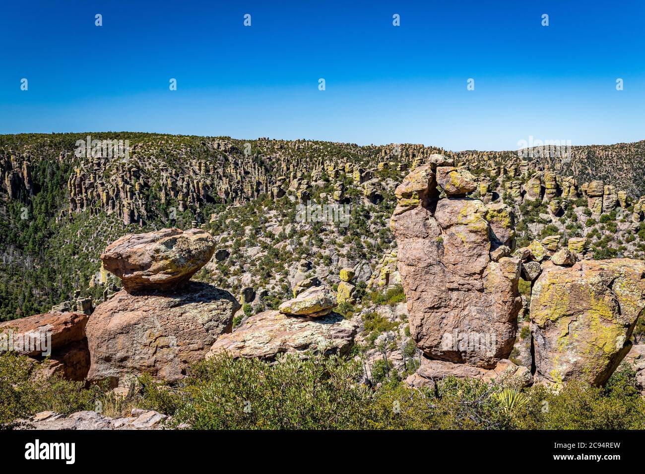 Il Chiricahua National Monument presenta quasi 12,000 acri di pinnacoli di Rhyolite, alcune centinaia di piedi in aumento nell'aria, ed è conosciuto come il 'Wonderl Foto Stock