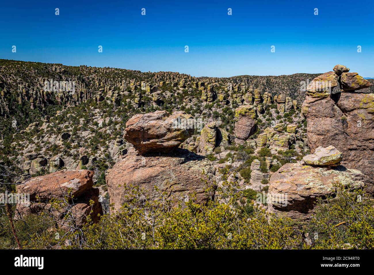 Il Chiricahua National Monument presenta quasi 12,000 acri di pinnacoli di Rhyolite, alcune centinaia di piedi in aumento nell'aria, ed è conosciuto come il 'Wonderl Foto Stock