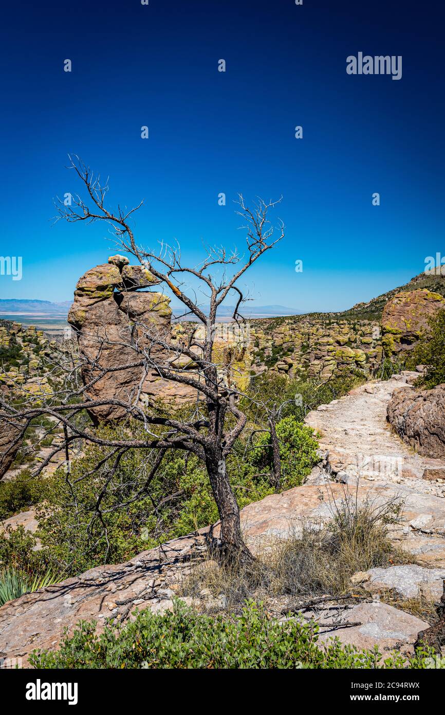 Il Chiricahua National Monument presenta quasi 12,000 acri di pinnacoli di Rhyolite, alcune centinaia di piedi in aumento nell'aria, ed è conosciuto come il 'Wonderl Foto Stock