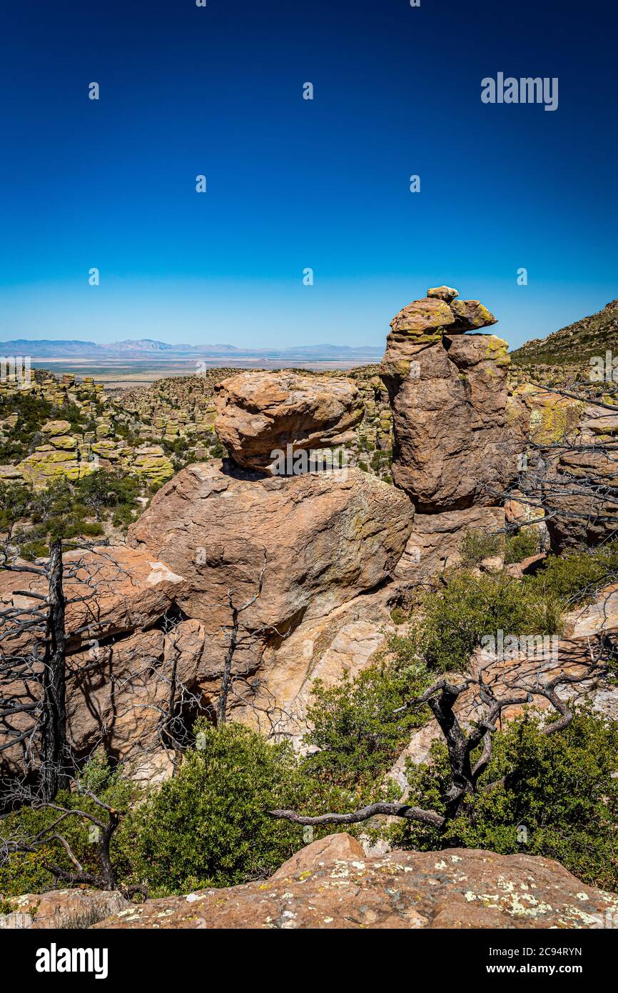 Il Chiricahua National Monument presenta quasi 12,000 acri di pinnacoli di Rhyolite, alcune centinaia di piedi in aumento nell'aria, ed è conosciuto come il 'Wonderl Foto Stock