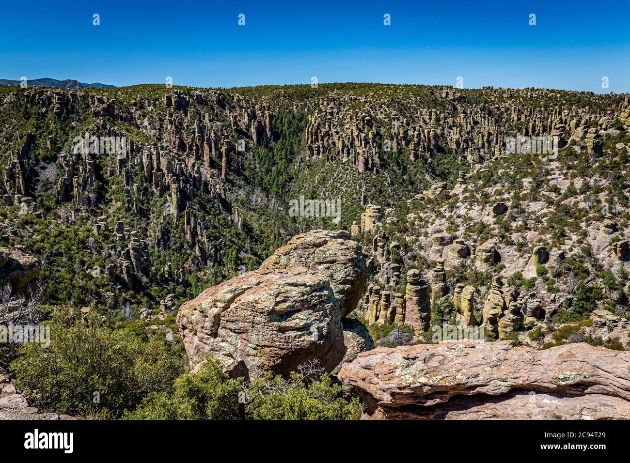 Il Chiricahua National Monument presenta quasi 12,000 acri di pinnacoli di Rhyolite, alcune centinaia di piedi in aumento nell'aria, ed è conosciuto come il 'Wonderl Foto Stock