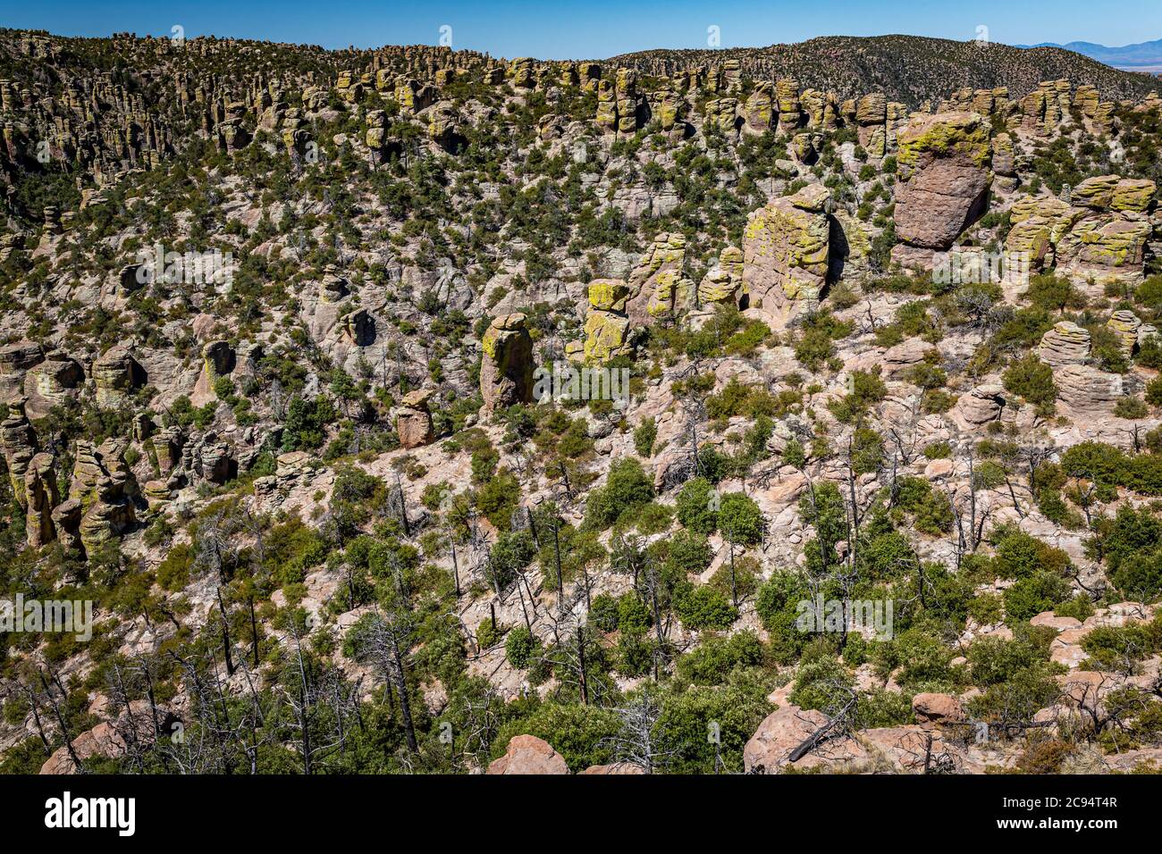 Il Chiricahua National Monument presenta quasi 12,000 acri di pinnacoli di Rhyolite, alcune centinaia di piedi in aumento nell'aria, ed è conosciuto come il 'Wonderl Foto Stock