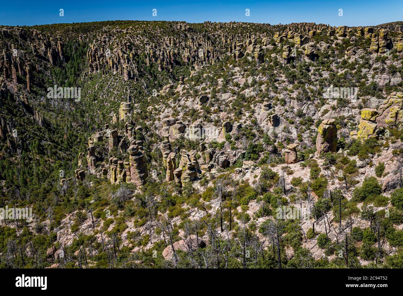 Il Chiricahua National Monument presenta quasi 12,000 acri di pinnacoli di Rhyolite, alcune centinaia di piedi in aumento nell'aria, ed è conosciuto come il 'Wonderl Foto Stock