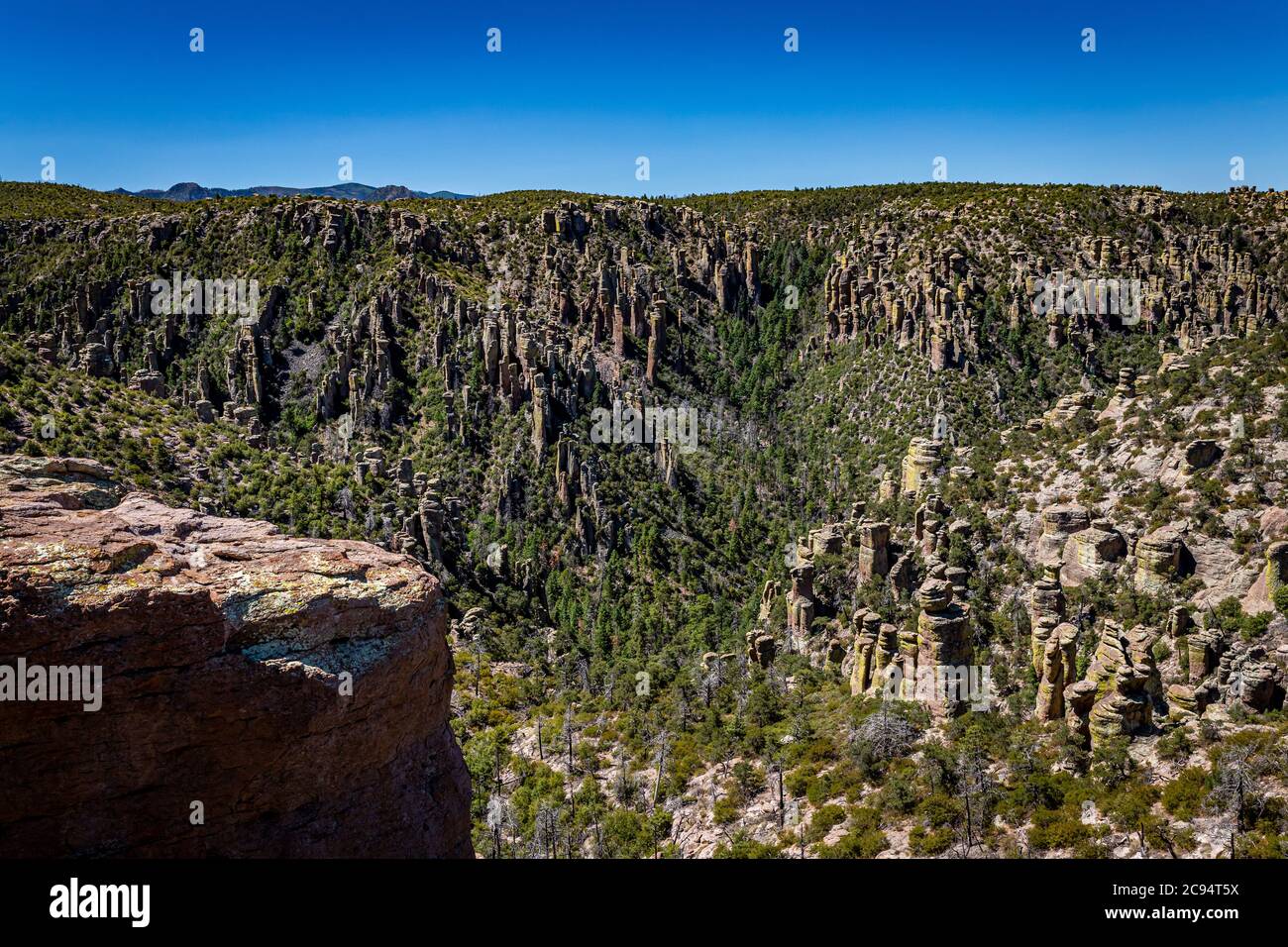 Il Chiricahua National Monument presenta quasi 12,000 acri di pinnacoli di Rhyolite, alcune centinaia di piedi in aumento nell'aria, ed è conosciuto come il 'Wonderl Foto Stock