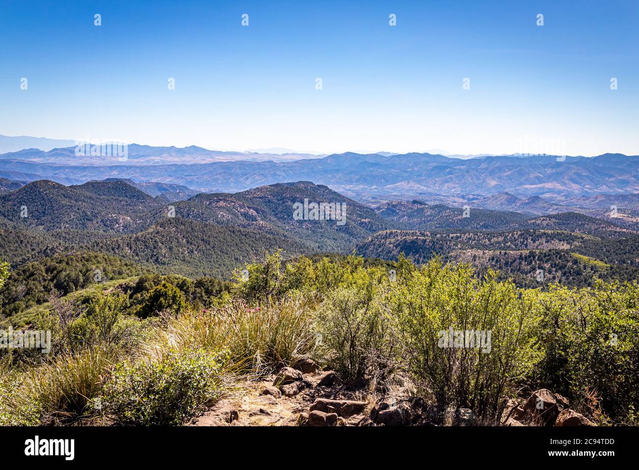 La strada panoramica Coronado Trail collega Springerville e Clifton, Arizona, nella foresta nazionale Apache-Sitgreaves, offrendo viste spettacolari Foto Stock