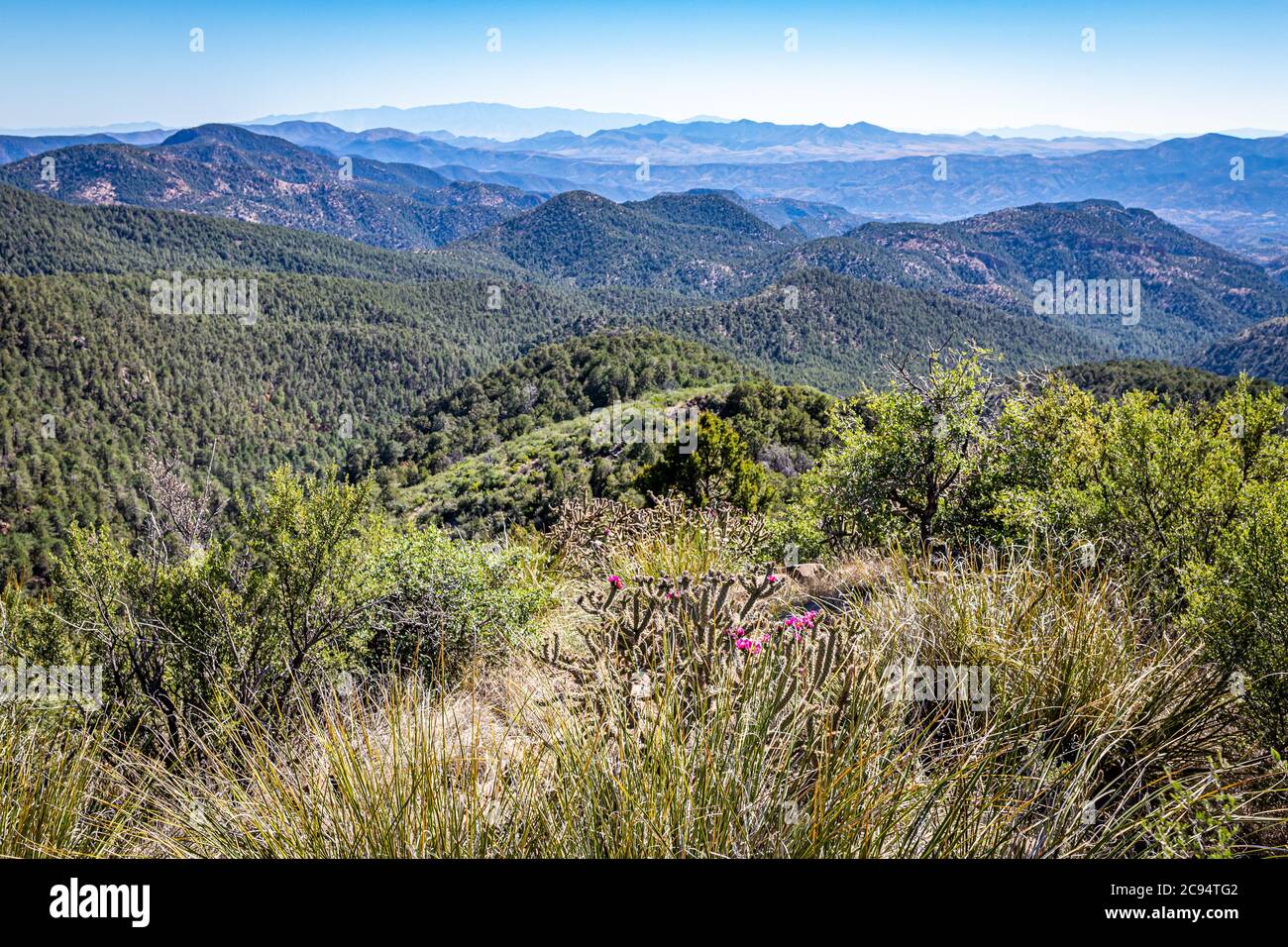 La strada panoramica Coronado Trail collega Springerville e Clifton, Arizona, nella foresta nazionale Apache-Sitgreaves, offrendo viste spettacolari Foto Stock