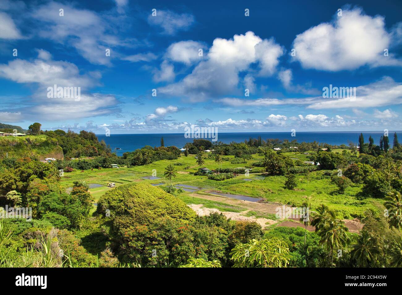 Splendida vista tropicale lungo la strada per hana su Maui. Foto Stock