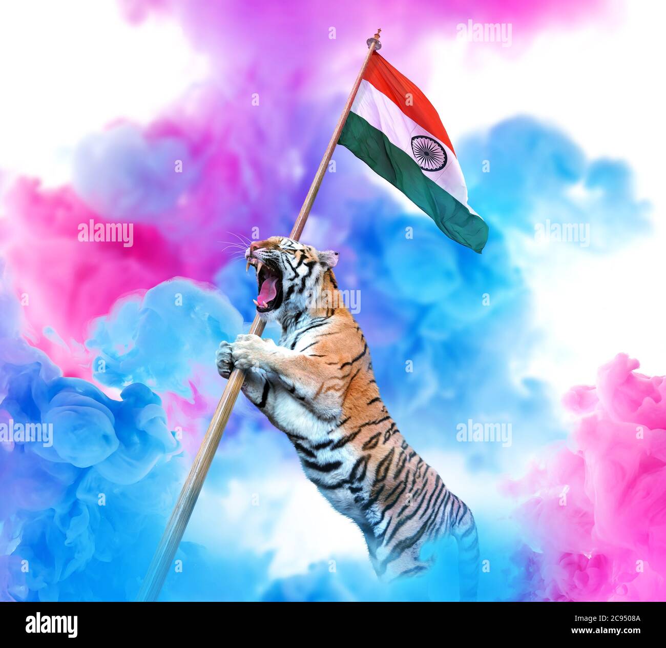 Tigre che porta una bandiera indiana con sfondo colorato di fumo. Concetto di tema patriottico. Foto Stock