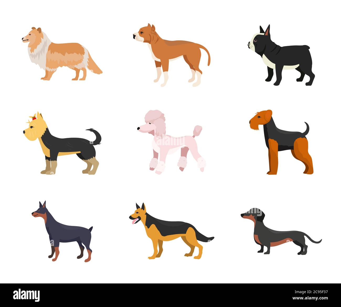 Diverse razze di cani flat vettore illustrazioni set Illustrazione Vettoriale