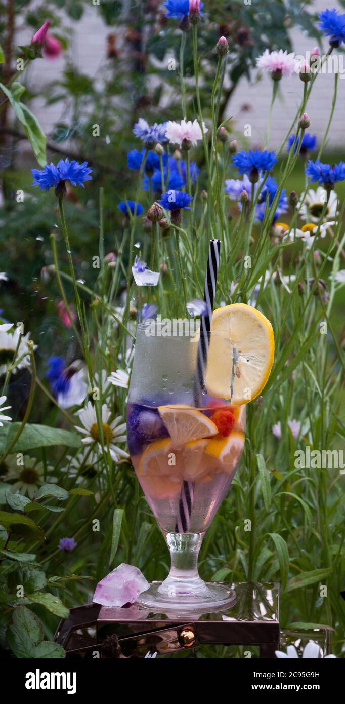 limonata sommara su sfondo blu di fiori di cornflowers di prato selvatico Foto Stock