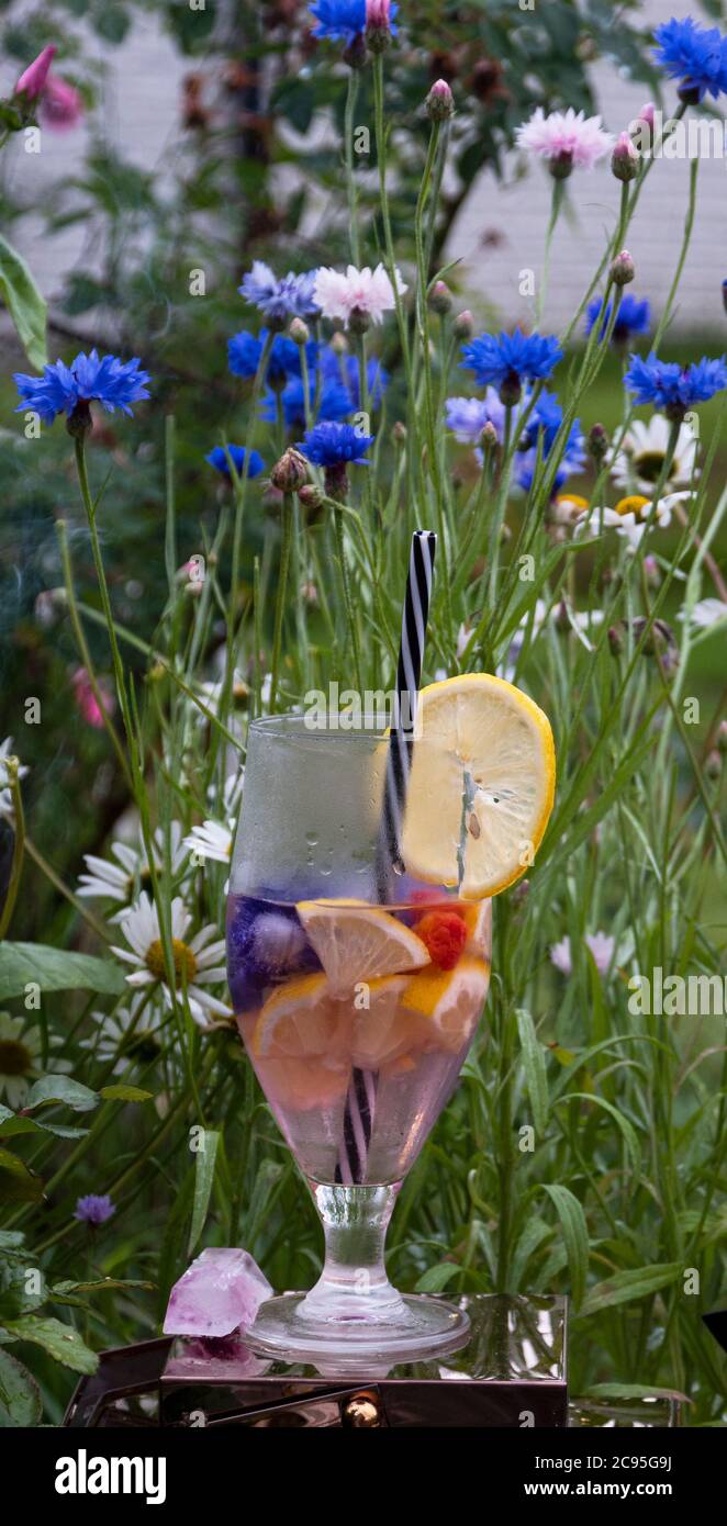 limonata sommara su cornflowers di prato blu al mattino Foto Stock