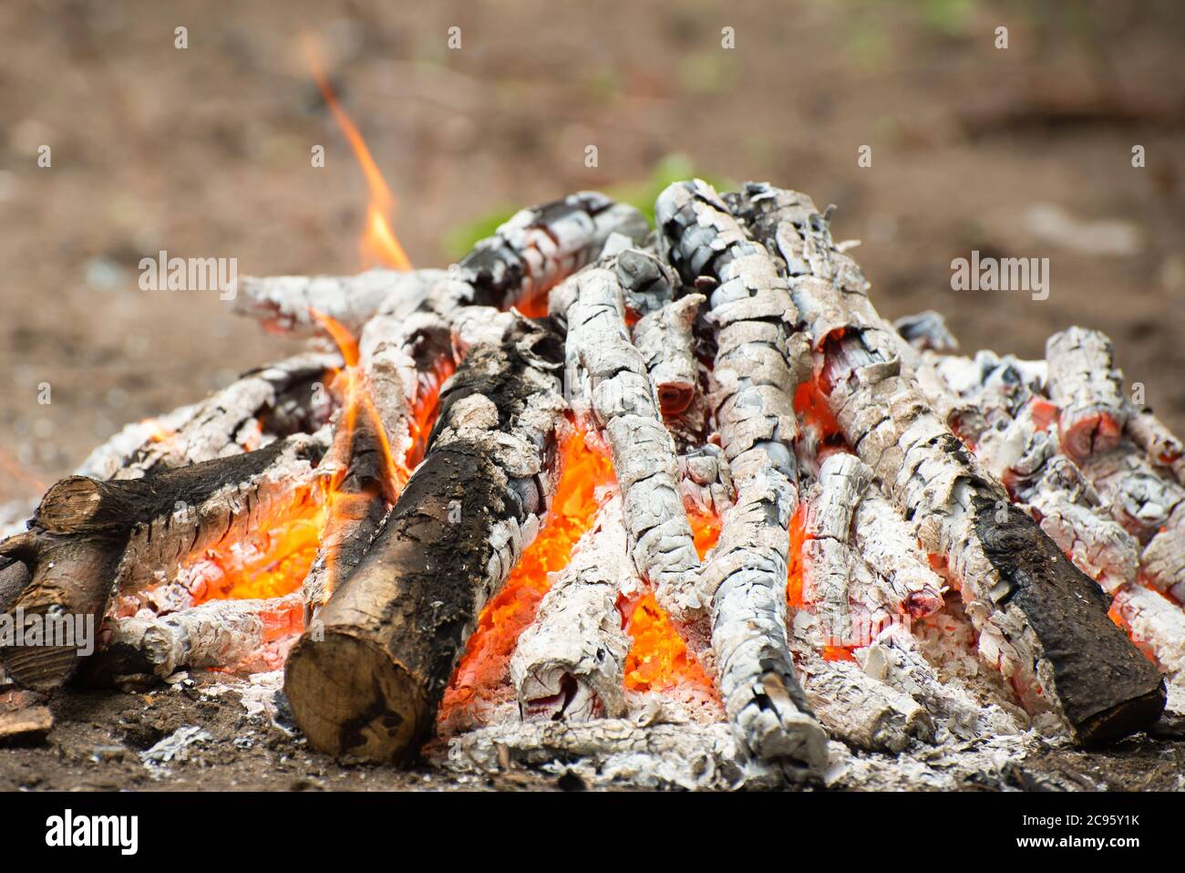 calici brucianti nel fuoco del campo - calore naturale eco-friendly per un'atmosfera accogliente e la cucina Foto Stock