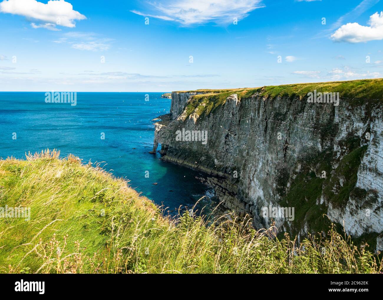 Tempo glorioso a Bempton Cliffs RSPB nello Yorkshire Foto Stock