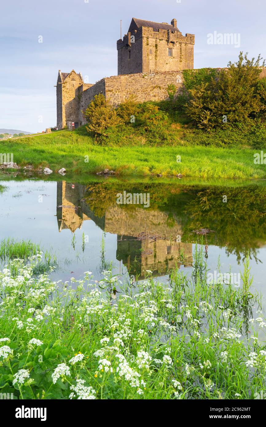 Alba al Castello di Dunguaire riflesso nel suo fossato. Contea di Galway, provincia di Connacht, Irlanda, Europa. Foto Stock
