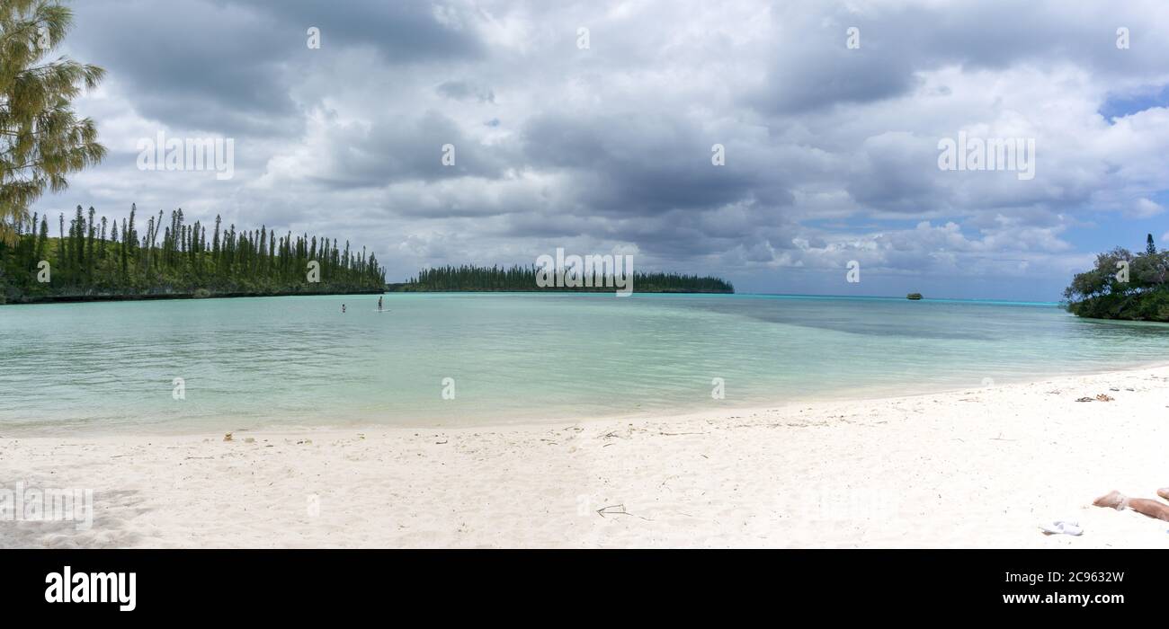 Mare dell'isola dei pini, nuova caledonia con mare turchese e araucaria tipica. Cielo nuvoloso Foto Stock