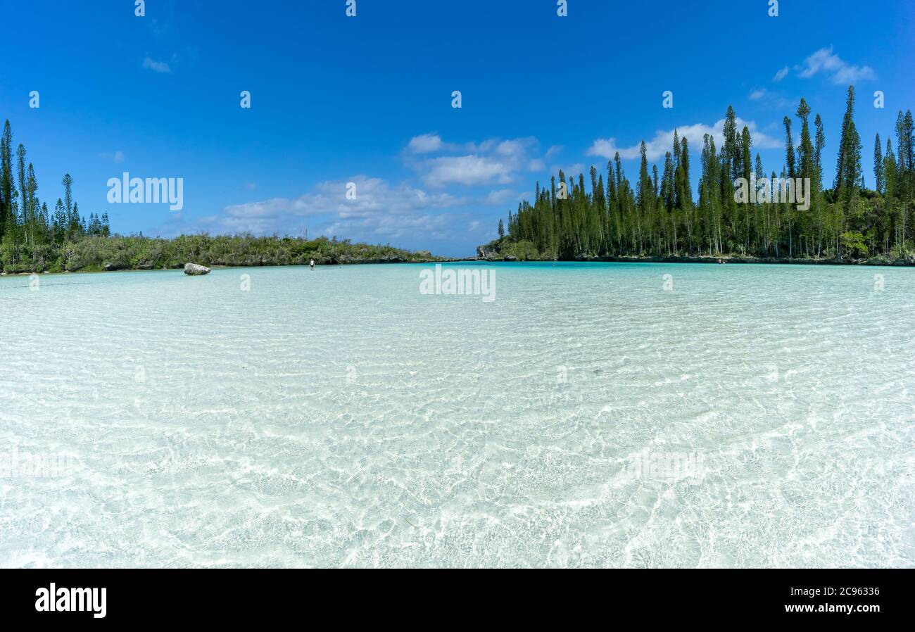 Bella stagione di piscina naturale di Oro Bay, Isola di Pines, Nuova Caledonia. Acqua trasparente acquamarina. Foto Stock