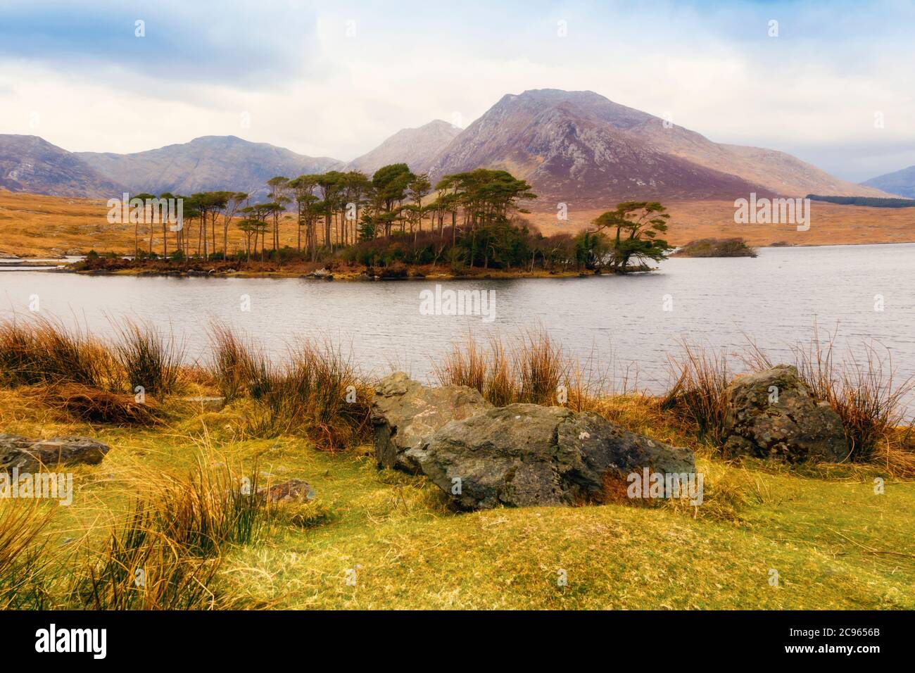 Isola di pino. Connemara National Park, County Galway, Repubblica d'Irlanda. Eire. Vicino a Ballynahinch. Foto Stock