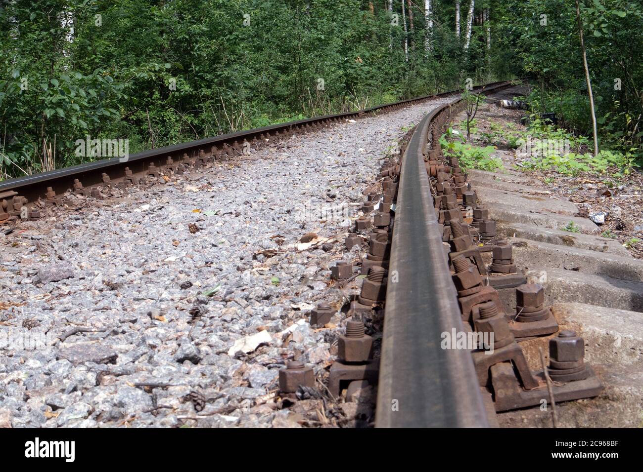 Vecchia ferrovia forestale con rotaie arrugginite che vanno in lontananza, tono di seppia Foto Stock