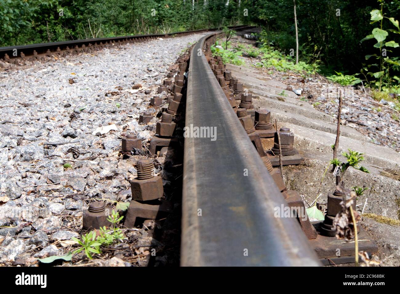 Vecchia ferrovia forestale con rotaie arrugginite che vanno in lontananza Foto Stock