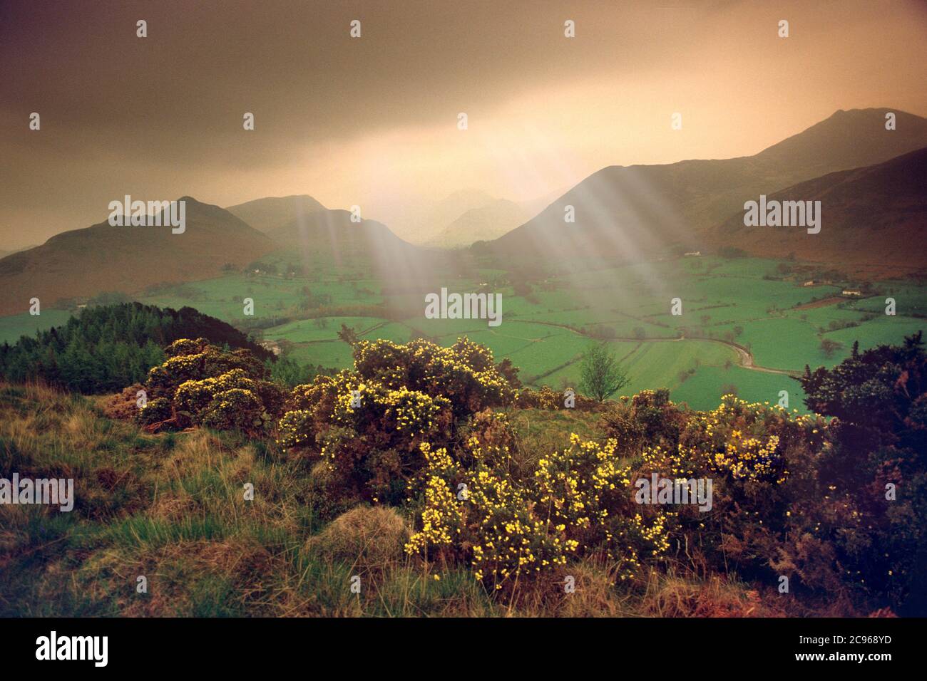Raggi di sole sulla verde valle scena pastorale Foto Stock