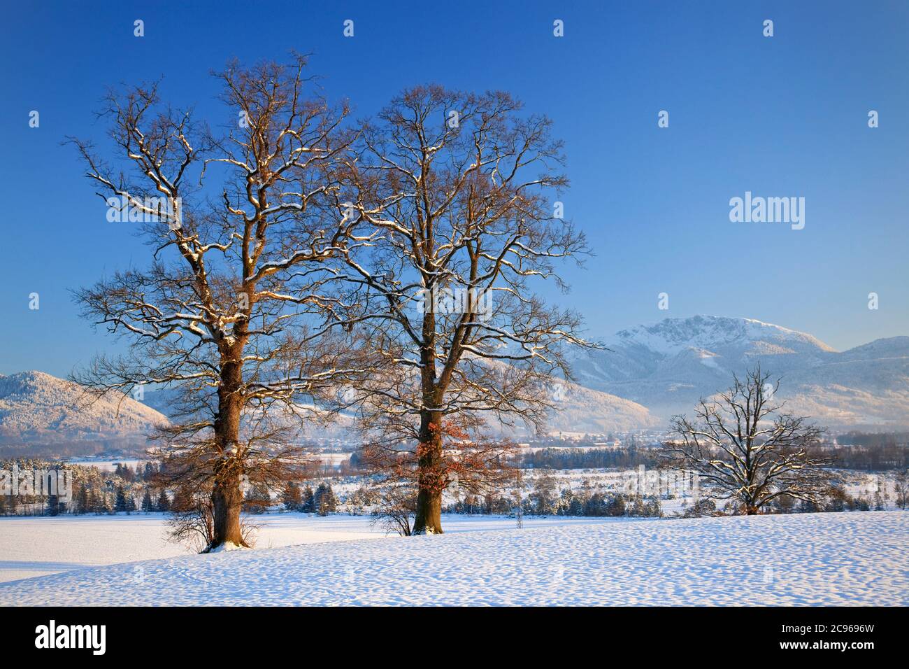 Geografia / viaggio, Germania, Baviera, Penzberg, inverno a Penzberg, alta Baviera, preAlpi bavaresi, , diritti-aggiuntivi-clearance-Info-non-disponibile Foto Stock