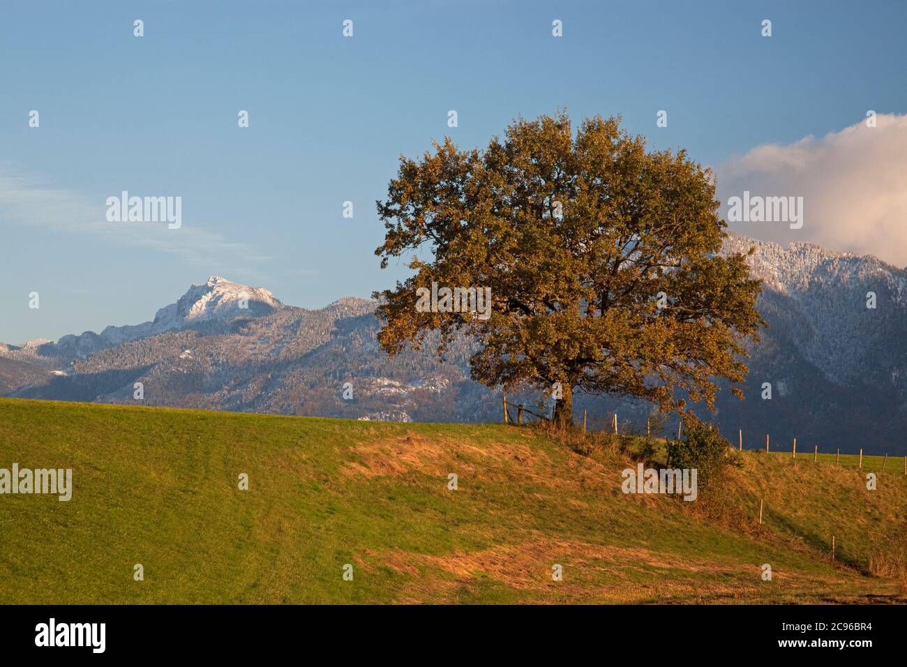 Geografia / viaggio, Germania, Baviera, Grossweil, Benediktenwand, vicino Kochel, Kochelseemoos, Werdenfel, diritti aggiuntivi-clearance-Info-non-disponibile Foto Stock