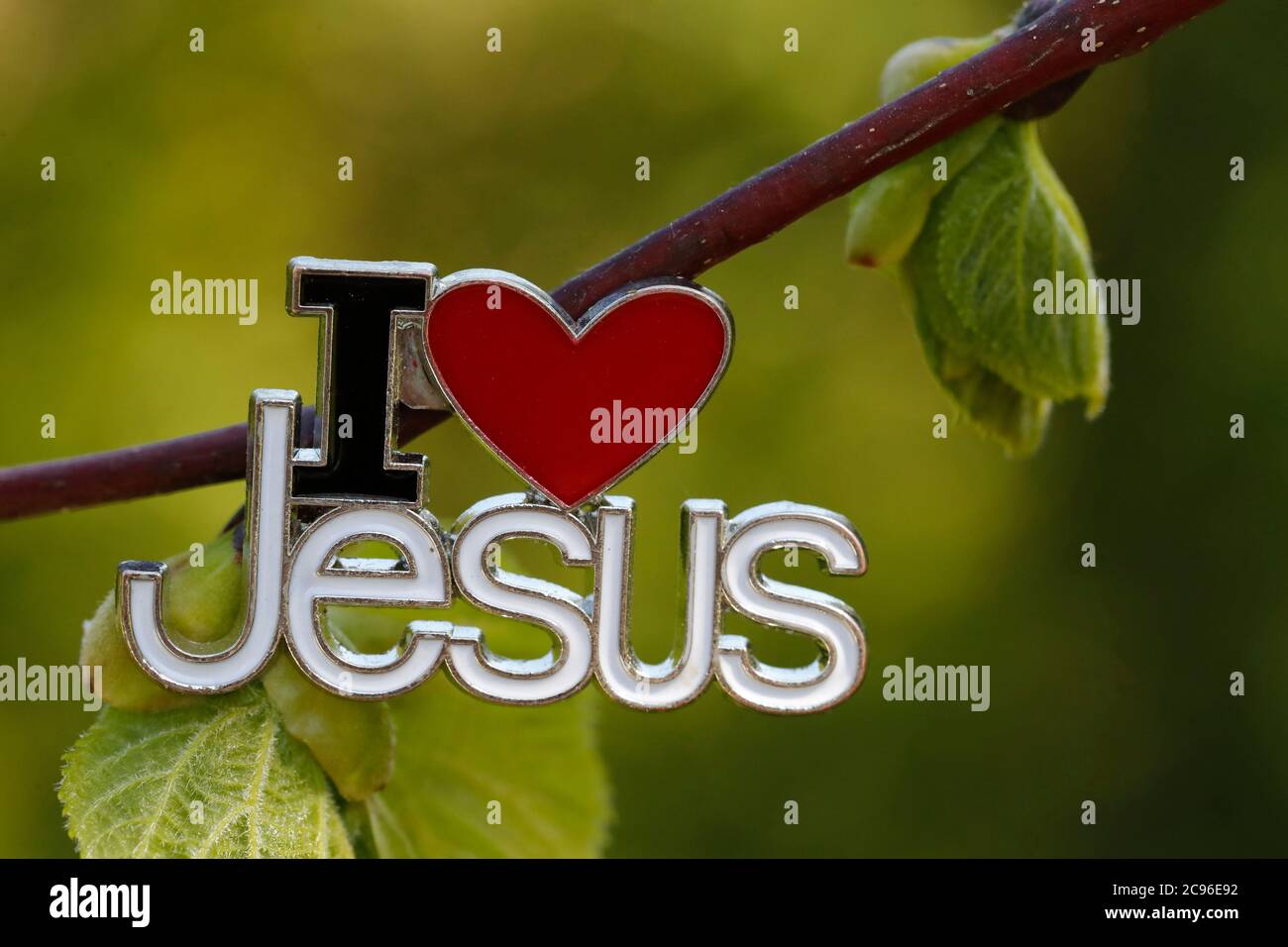 Amo Gesù pin su un albero con un nuovo congedo verde. Francia. Foto Stock