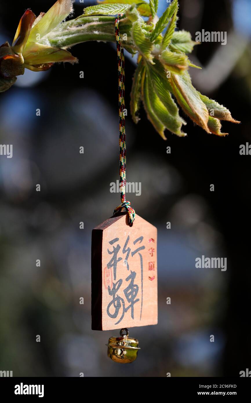 Scritture cinesi buddiste su legno. Francia. Foto Stock