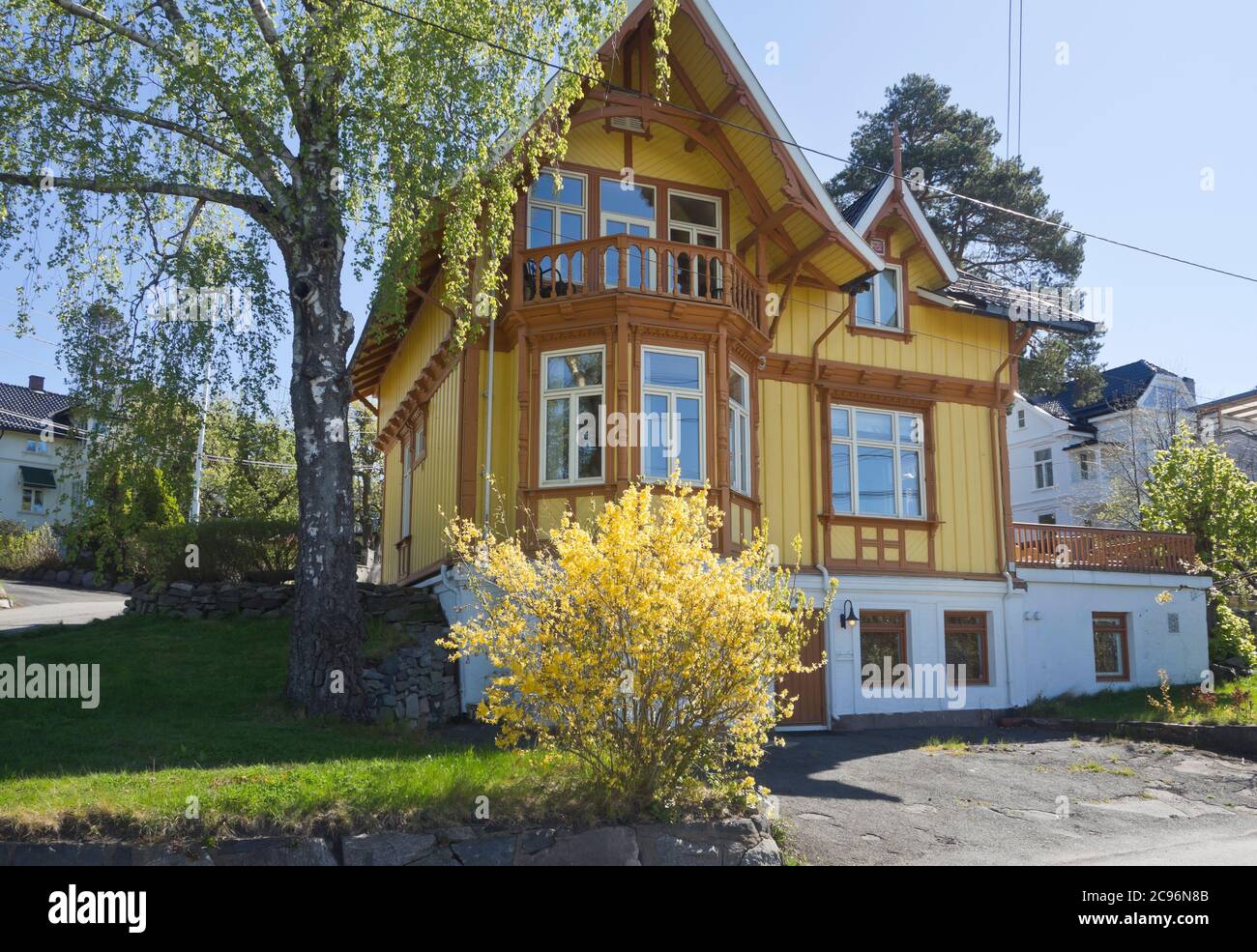 Villa nel sobborgo di Nordstrand di Oslo Norvegia Una giornata di sole primavera con il cespuglio fiorito di Forsythia Foto Stock