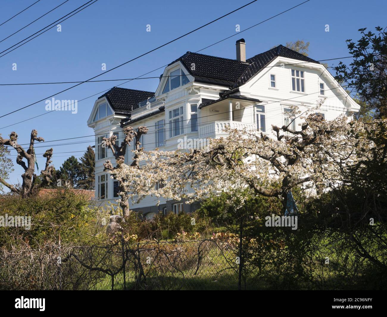 Villa nel sobborgo di Nordstrand di Oslo Norvegia una soleggiata giornata primaverile con alberi da frutto bianchi fioriti Foto Stock