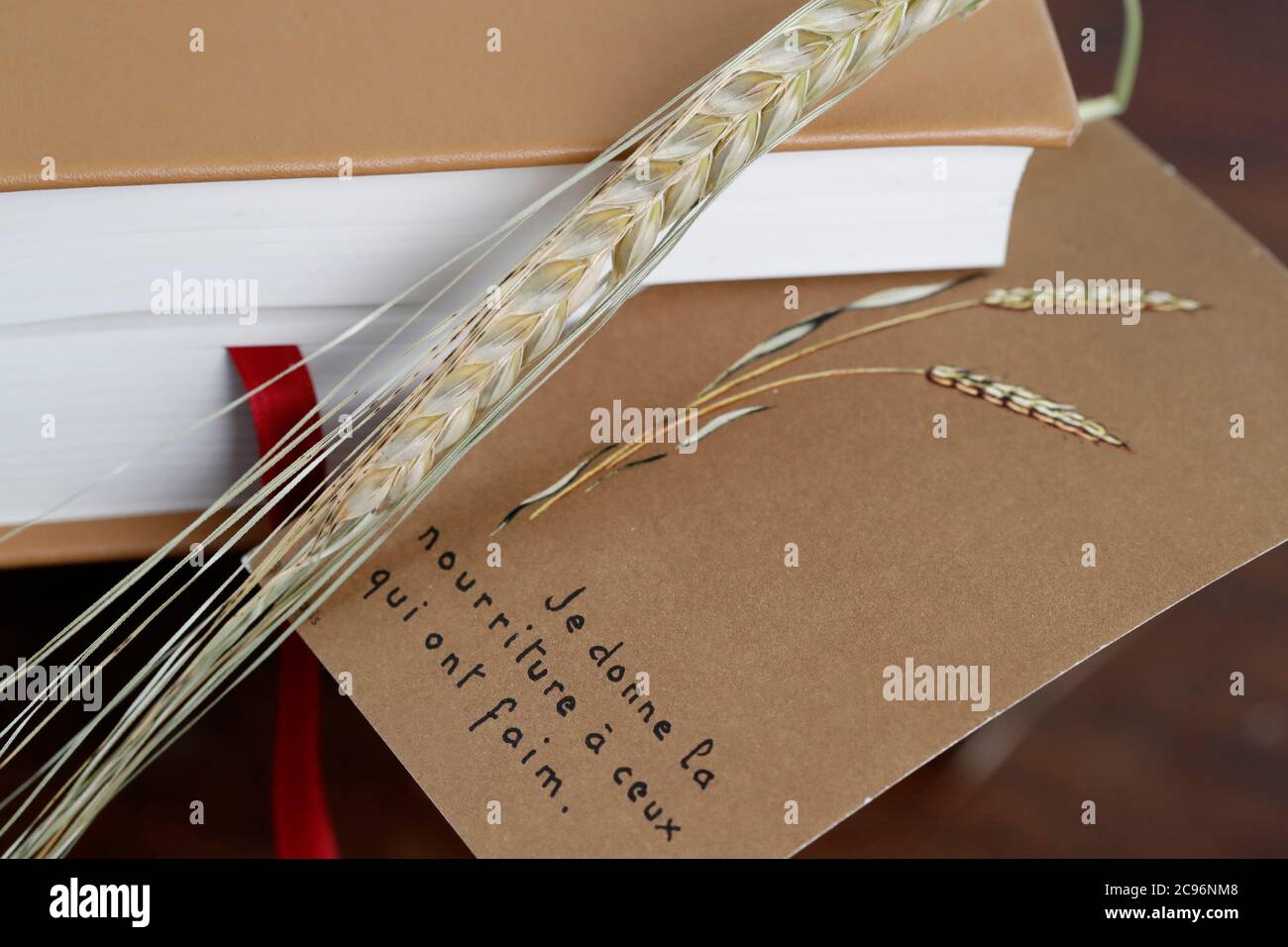 Bibbia, immagine religiosa e orecchio di grano. Simboli cristiani. Francia. Foto Stock
