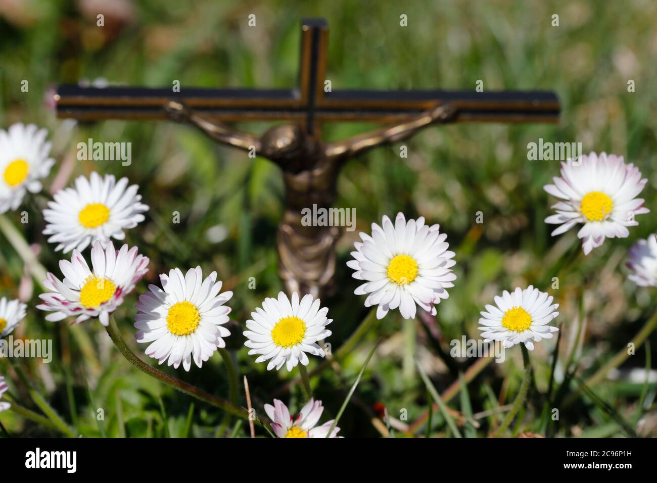 Crocifisso nell'erba con margherite in primo piano. Francia. Foto Stock