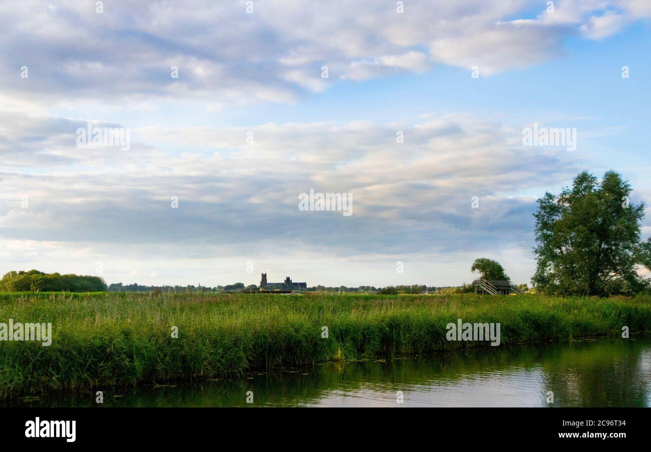 Fiume Grande Ouse, Ouse, acqua, alberi, natura, mondo naturale, vicino Ely, Estate 2020 Foto Stock