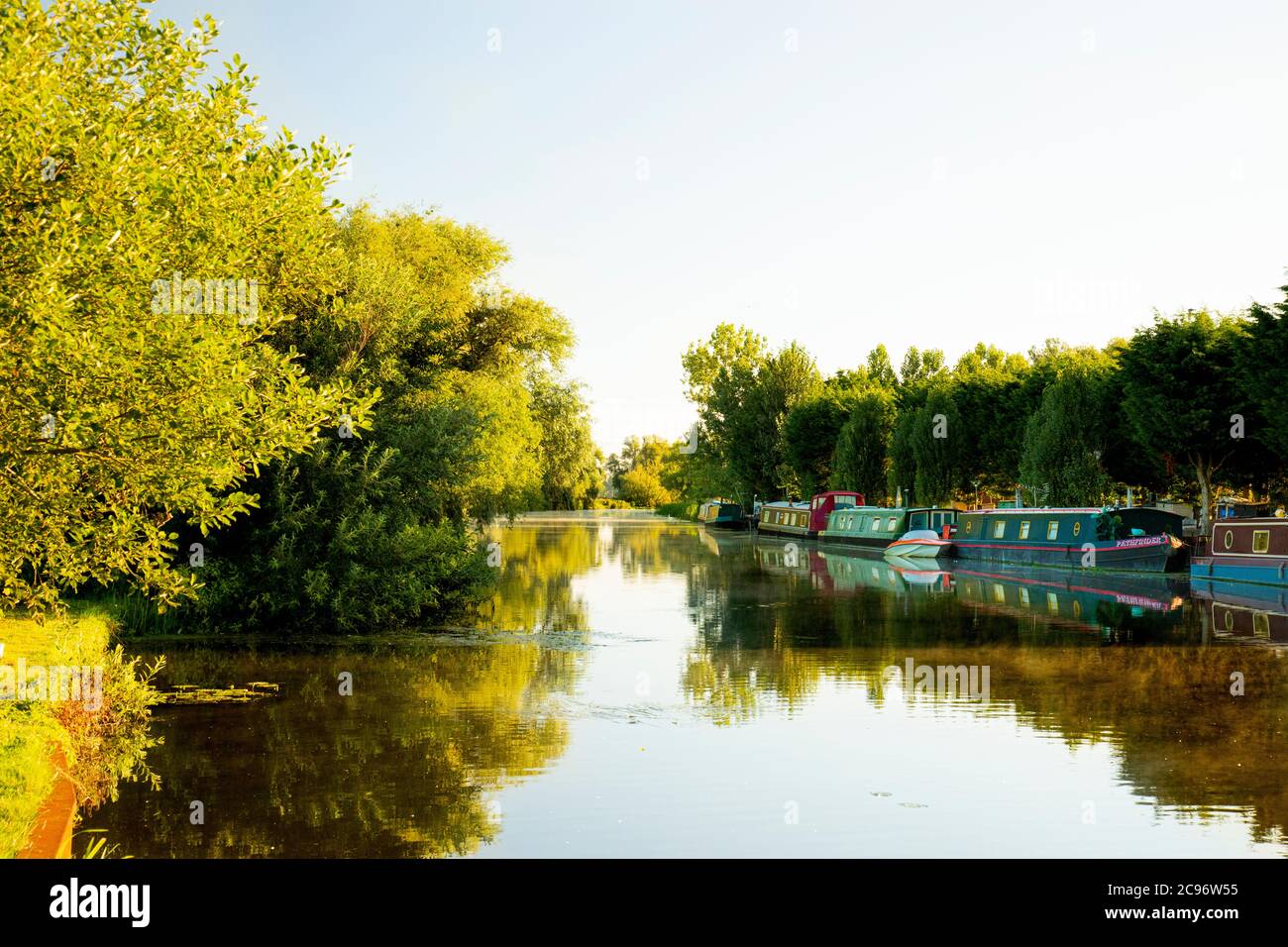 River Cam, Cambridgeshire Paesaggi, alba sul fiume, estate 2020 Foto Stock