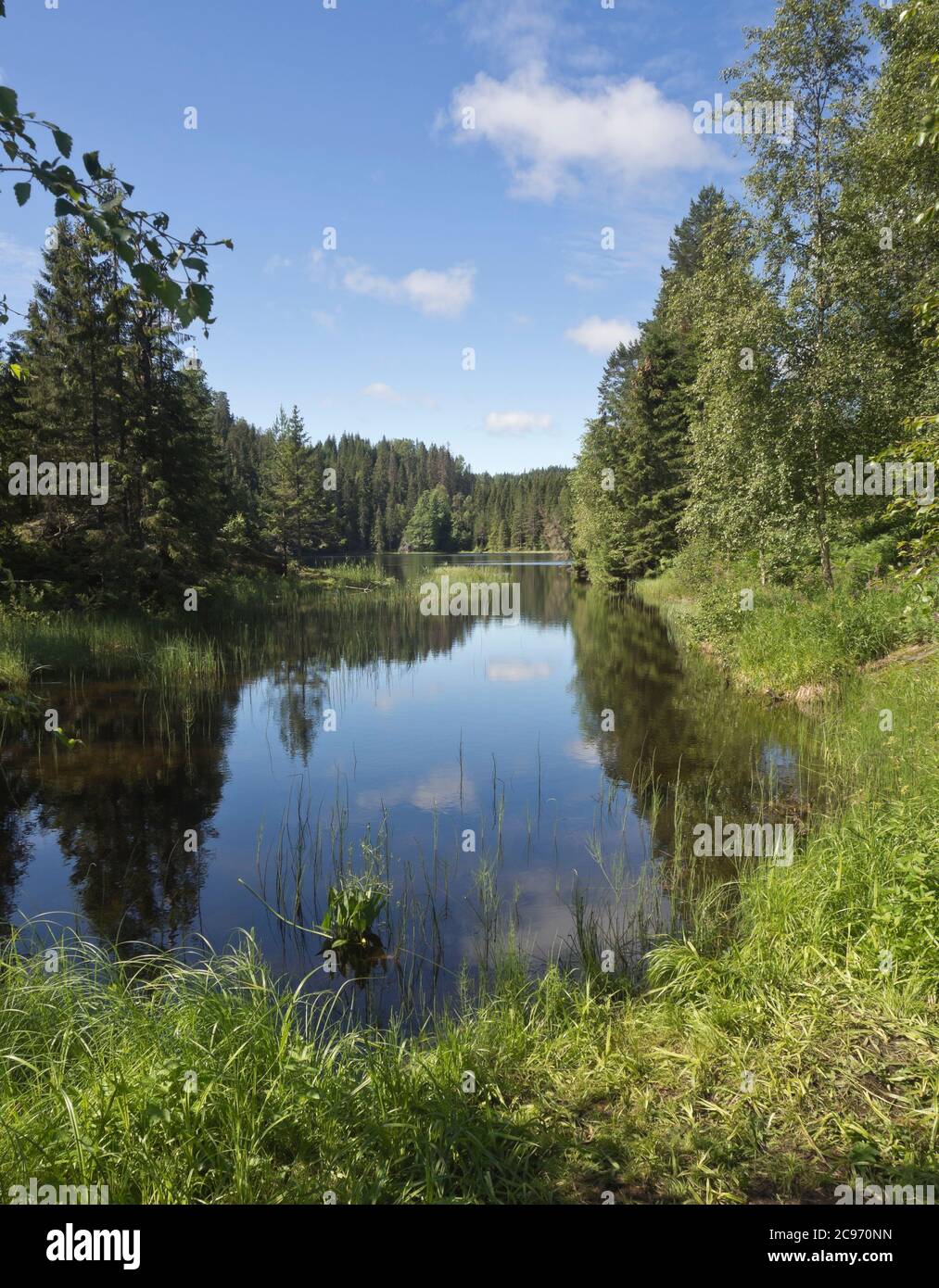 Splendido paesaggio estivo con lago e foresta, a Ostmarka, alla periferia della capitale norvegese Oslo Foto Stock