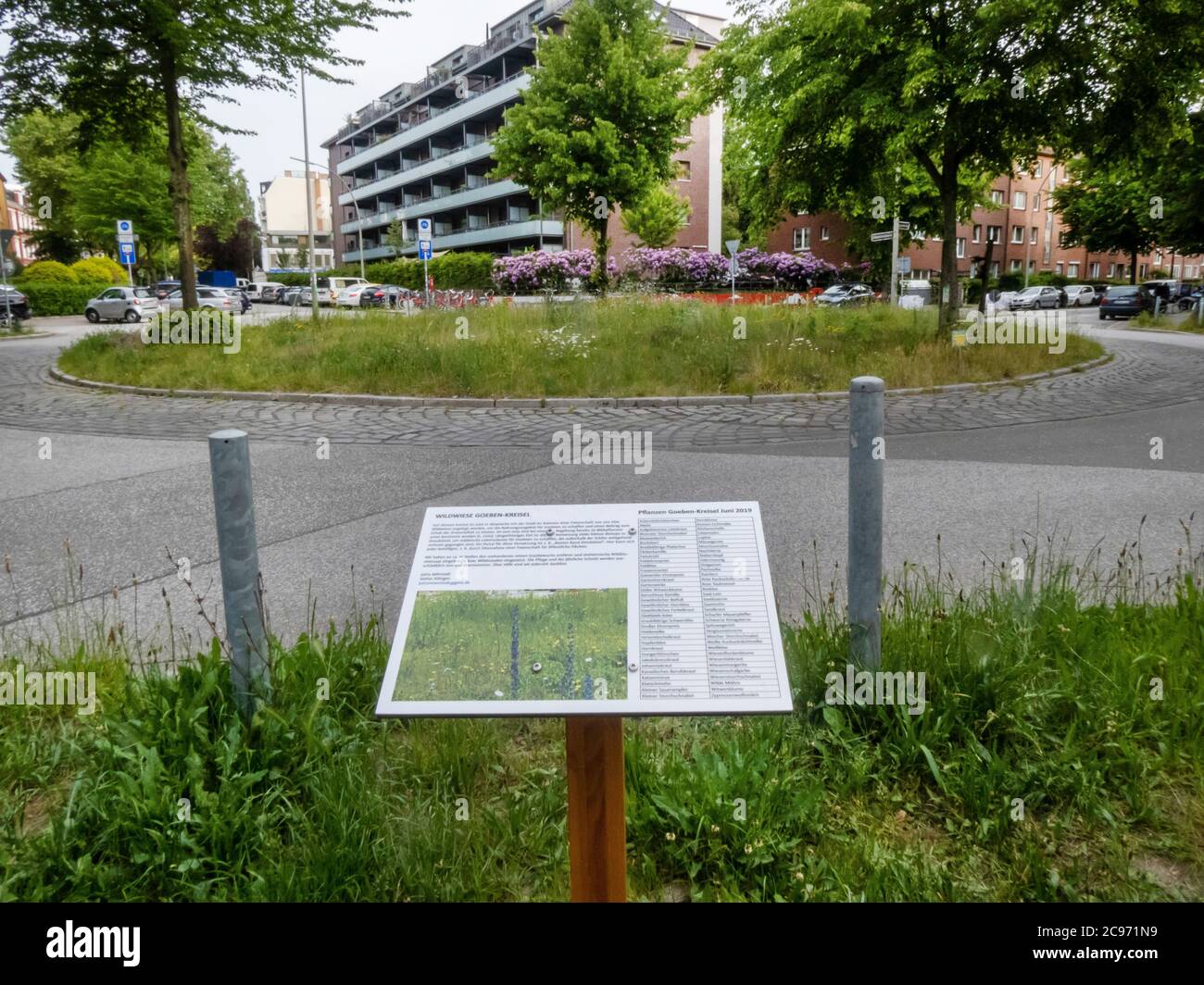 Prato selvatico ad Amburgo, Germania, Amburgo Foto Stock