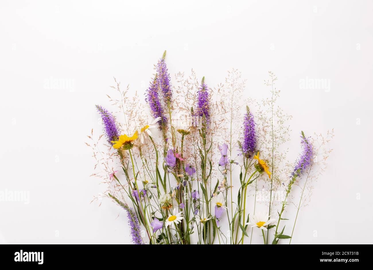 Motivo floreale con fiori selvaggi, foglie verdi fronde su sfondo bianco. Appartamento laico, vista dall'alto. Foto Stock