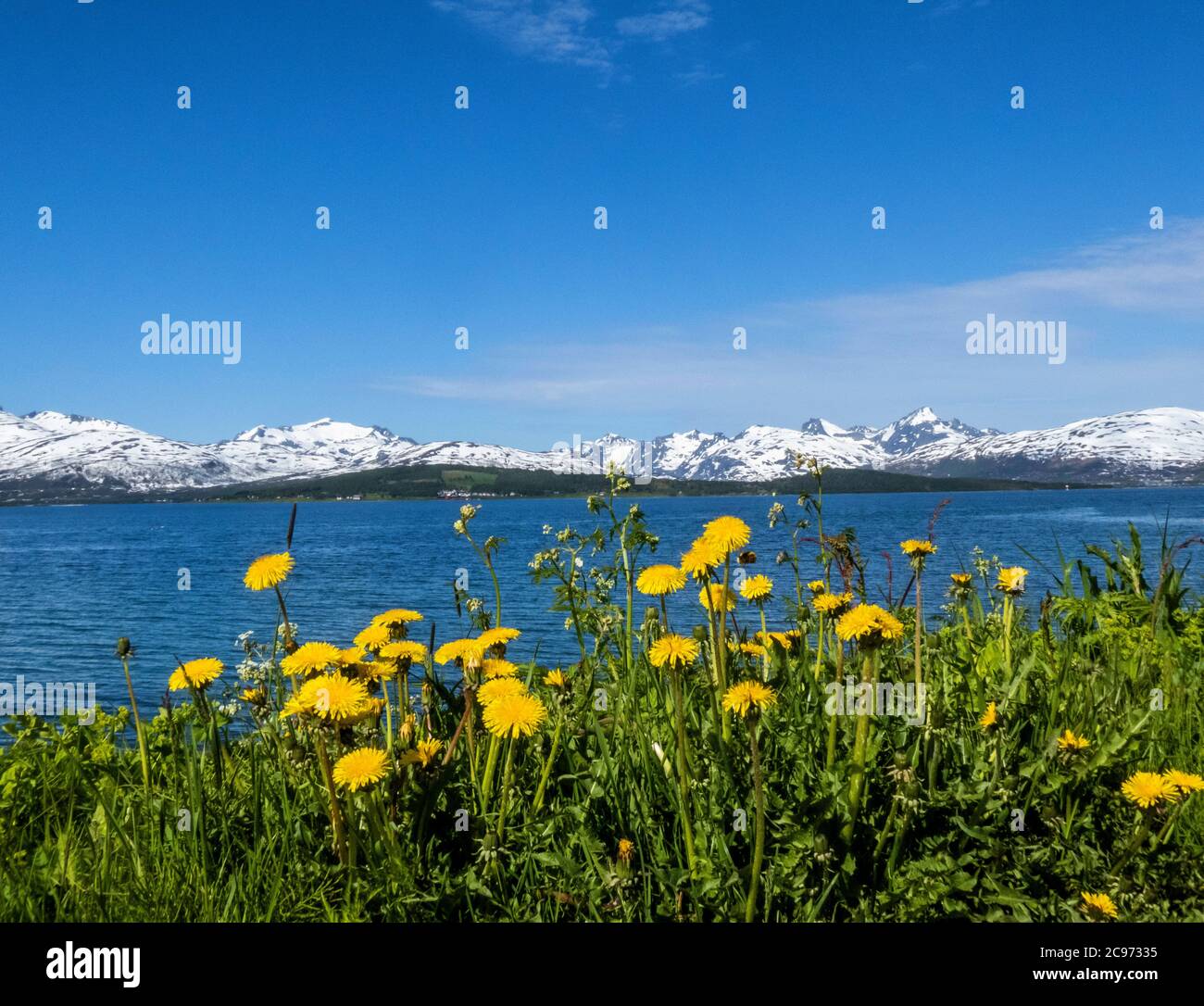 Tarda primavera nel nord della Norvegia, Norvegia, Troms, Sandnessund, Tromsoe Foto Stock