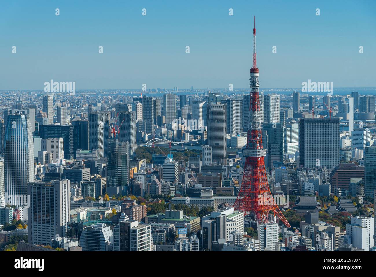 Vista sulla città di Tokyo con la torre di Tokyo Foto Stock