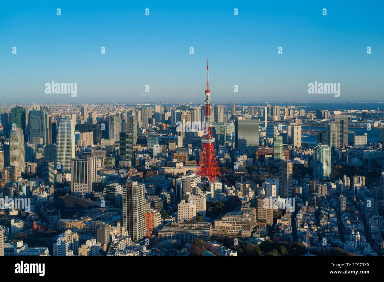 Vista sulla città di Tokyo con la torre di Tokyo Foto Stock