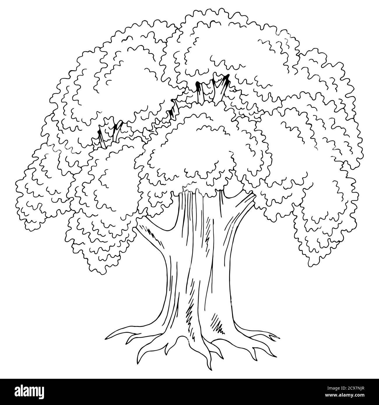 Vecchio albero di quercia grafico bianco nero isolato disegno vettore Illustrazione Vettoriale