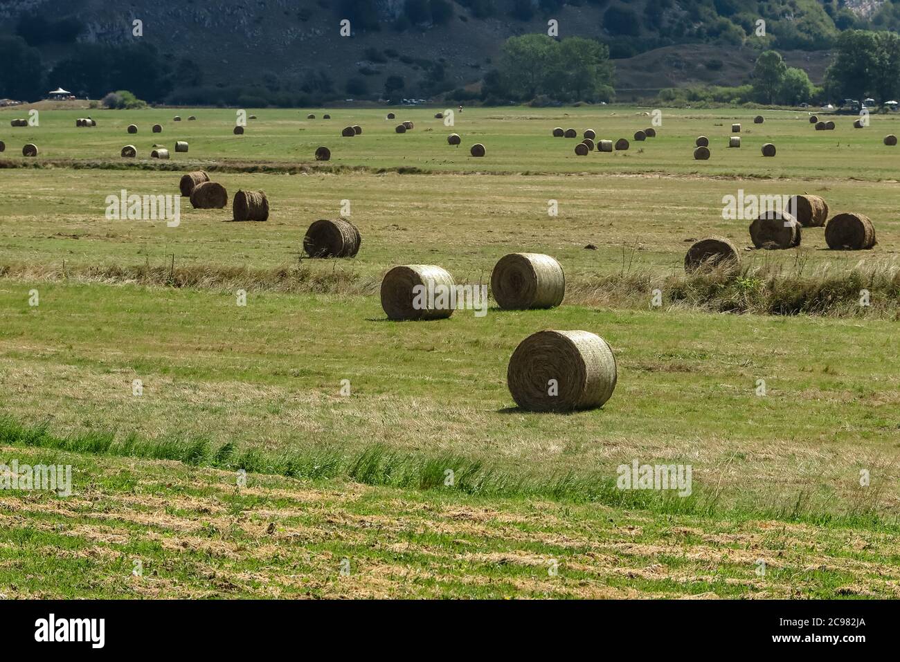 Parecchi rulli di paglia distribuiti in campi grandi, Foto Stock