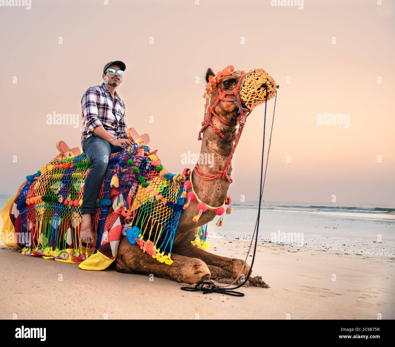 turistico con posto a sedere in cammello vicino alla spiaggia indiana durante il giro in cammello Foto Stock