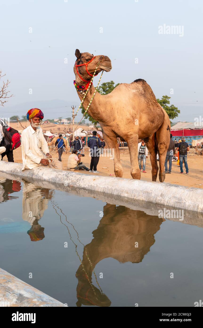 Un ritratto di vecchio indiano con cammello decorato vicino al corpo dell'acqua a Pushkar Camel Fair Ground. Foto Stock