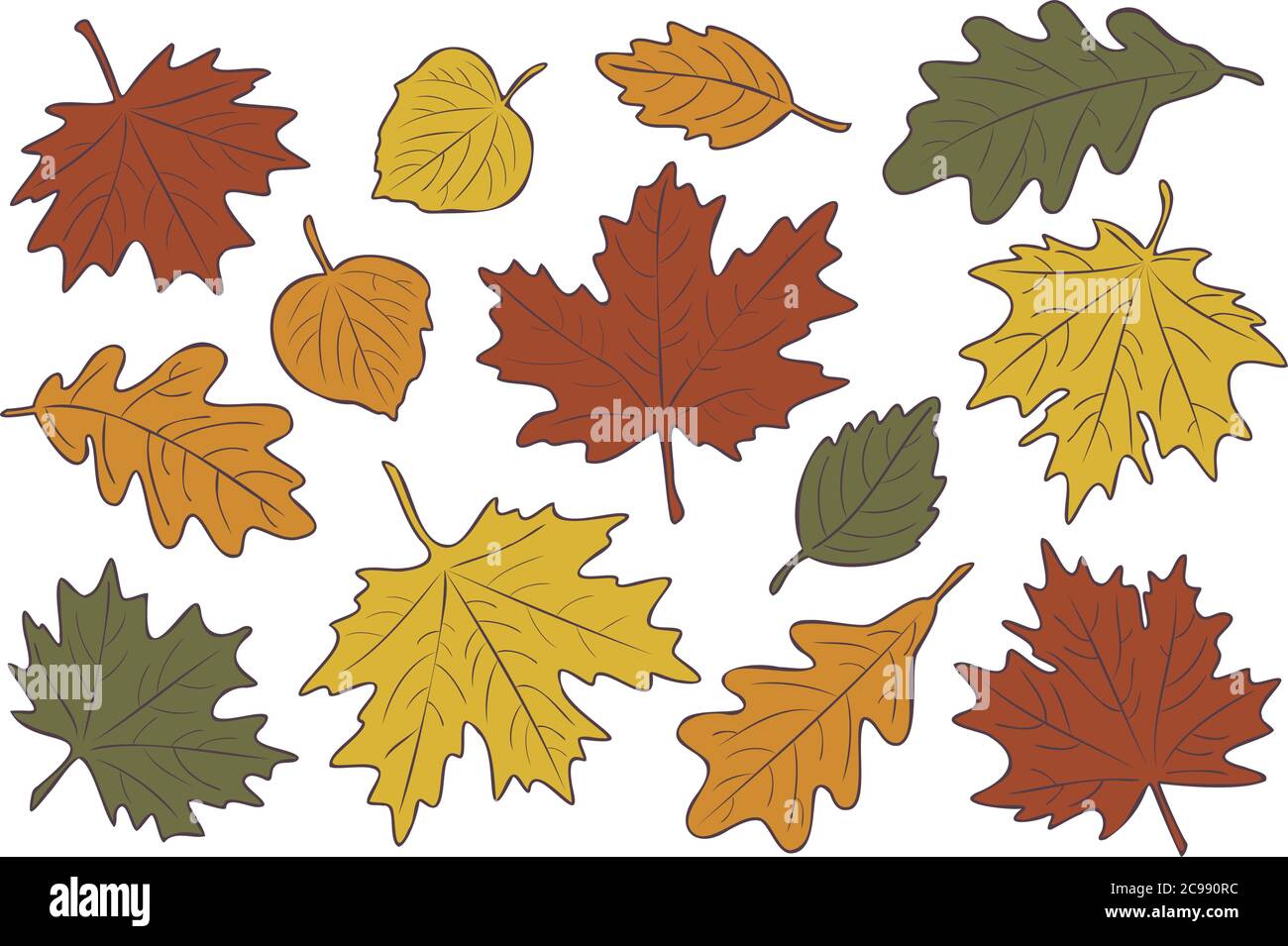 Illustrazione vettoriale, insieme di foglie d'autunno realistiche e luminose. Caduta foglie sfondo. Foglie di acero, tiglio, quercia e betulla. Illustrazione Vettoriale