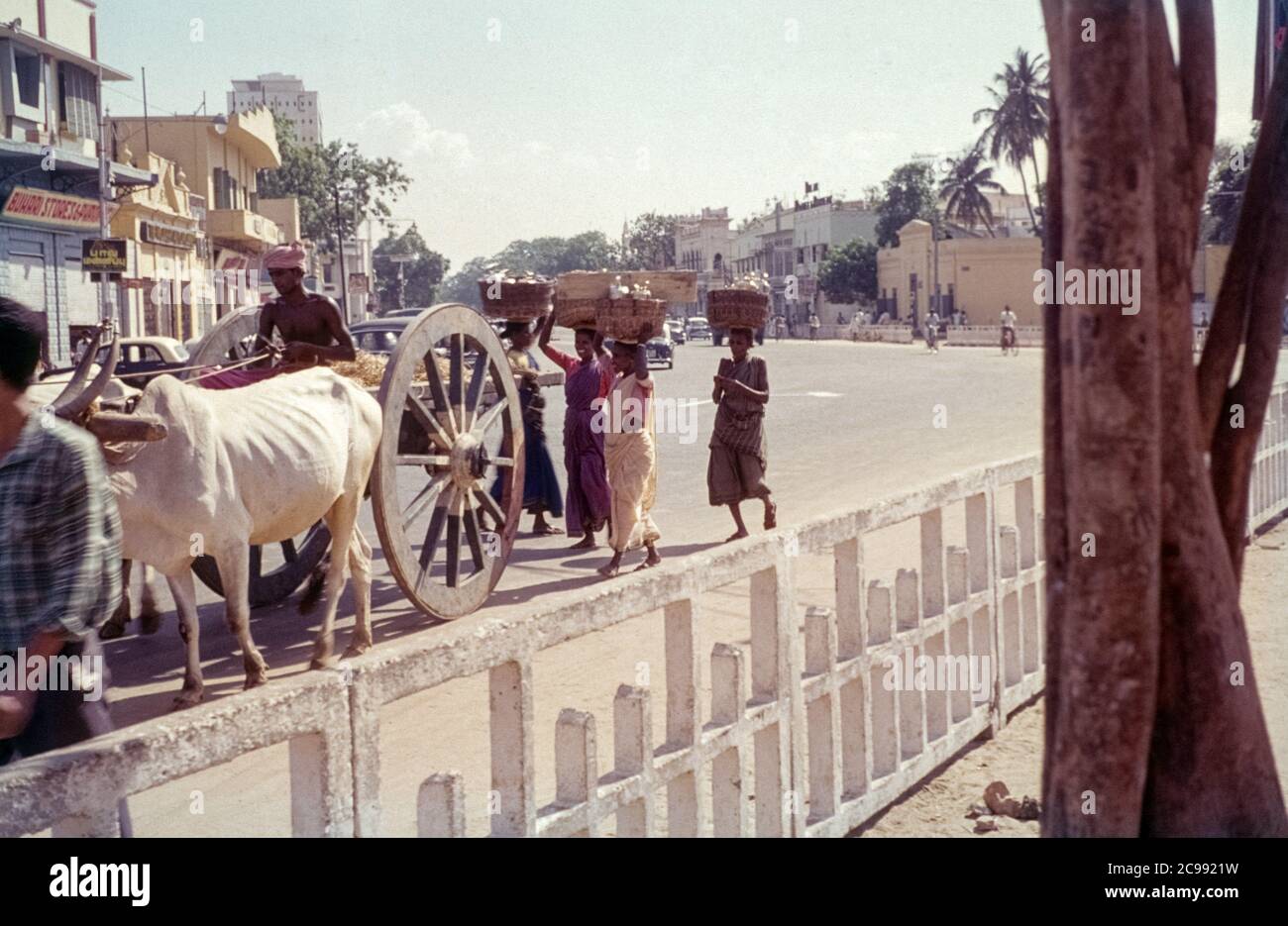 La vita quotidiana in una strada a Chennai, conosciuta anche come Madras, vicino al Burhani Hotel. Chennai, Tamil Nadu, India, 1961/1962 Foto Stock